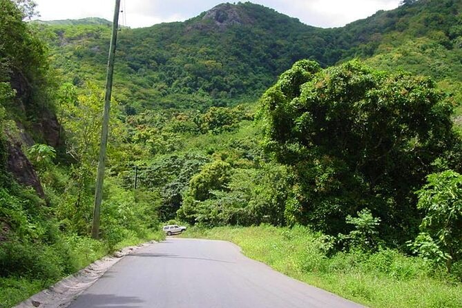 Half-Day Tour: A Taste of Paradise and History of Antigua - Shirley Heights is the tour’s strongest viewpoint