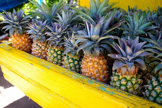 Half-Day Tour: A Taste of Paradise and History of Antigua - Private does not always mean spacious