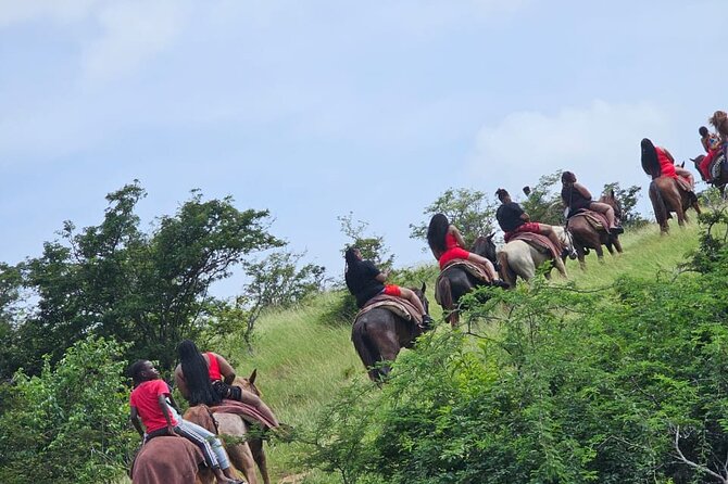 Horseback Riding at Hawksbill Beach in Five islands Antigua - Meeting the horses and getting ready