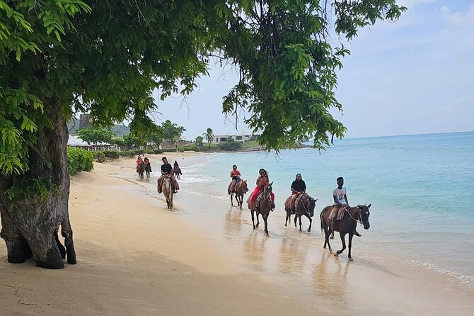 Horseback Riding at Hawksbill Beach in Five islands Antigua - Climbing toward the best view