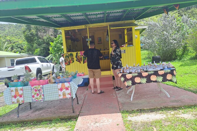 Island Tour - Betty’s Hope: Antigua’s sugar plantation story