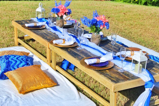 Luxury Private Picnic with Caribbean Cuisine - The $250 price: a celebration cost, not a food bargain