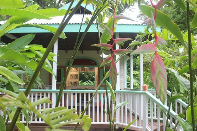 Private Art Tour or Food Tour - Key Points To Know Before You Book