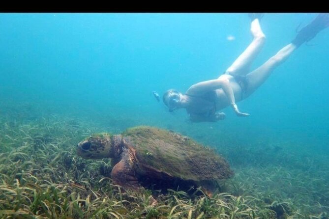 Private Snorkeling and Sightseeing Tour of Antigua - What the $125 price gets you in Antigua