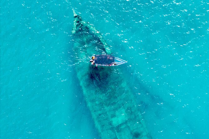 Reef Explorers Transparent Boat and Beach Tour - Quick take: what makes this Antigua boat tour special