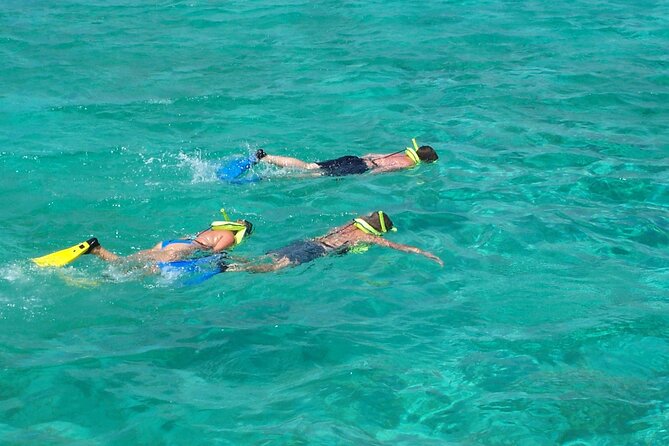 Sail and Snorkel at Cades Reef - Barbecue lunch on the catamaran