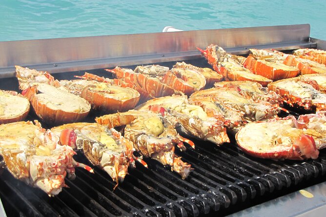 Sail and Snorkel at Cades Reef - The northbound return and Caribbean music