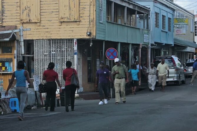 Shore Excursion: City of St John's Sightseeing Tour - Why the Air-Conditioned Minivan Matters