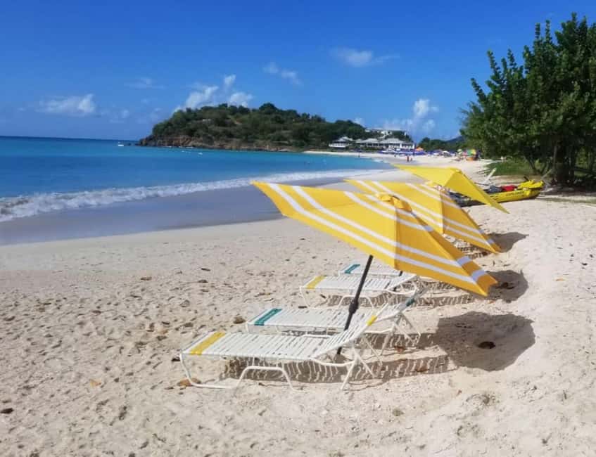 Sip & Paint with lunch on exciting Ffryes Tiki beach Bar - The scenic ride from St. John’s to Ffryes Beach