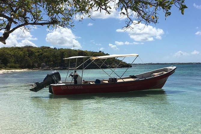 Snorkel and Exclusive Beach Exploration in Antigua - Why the small group changes the experience