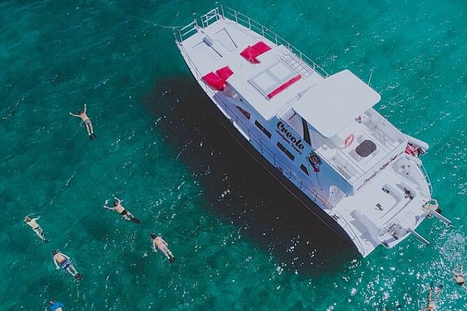 Snorkel - Lobster Lunch Cruise to Bird Island and Paradise Reef - Key points before you book