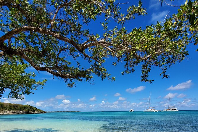 Snorkel - Lobster Lunch Cruise to Bird Island and Paradise Reef - Practical details for a smoother day