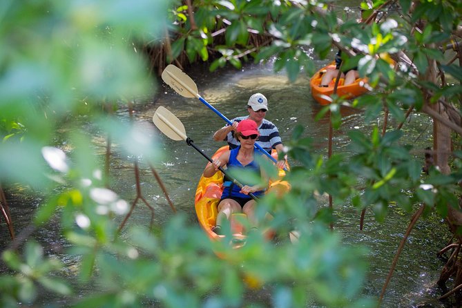 SoCoHo Eco Half Day - Mangrove Kayak & Reef Snorkeling - The Small Beach Transfer
