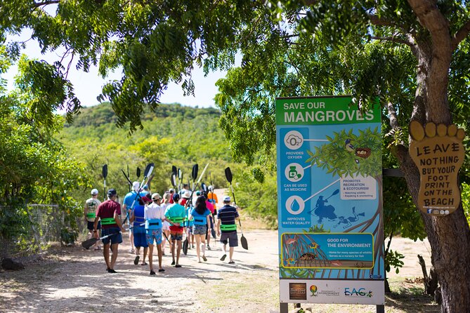 SoCoHo Eco Half Day - Mangrove Kayak & Reef Snorkeling - Cades Reef and the Best Water Time