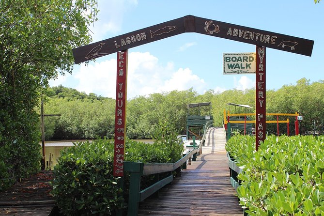 SoCoHo Eco Half Day - Mangrove Kayak & Reef Snorkeling - Who Should Book This Tour?