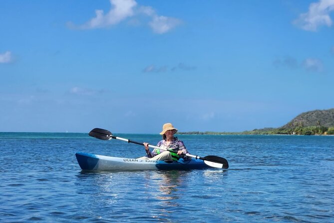 SoCoHo Eco Kayak and Snorkel Tour - Who should book this kayak and snorkel trip?