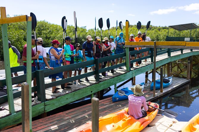 SoCoHo Eco Kayak and Snorkel Tour - Price, timing, and cancellation advice