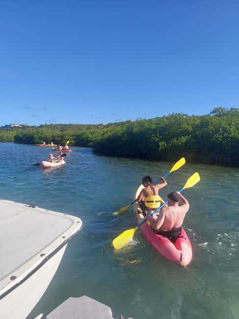 St. John's, Antigua Kayak, Snorkeling, & Beach Bird Island - Key points to know before booking