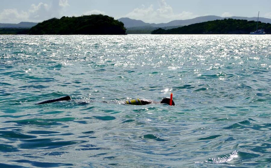 St. John's, Antigua Kayak, Snorkeling, & Beach Bird Island - From St. John’s to North Sound Marine Park