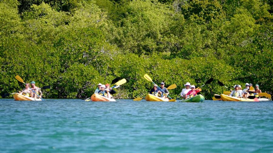St. John's, Antigua Kayak, Snorkeling, & Beach Bird Island - Speedboat ride to Great Bird Island