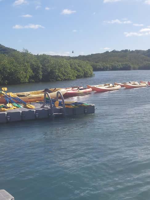 St. John's, Antigua Kayak, Snorkeling, & Beach Bird Island - The guide can shape the whole morning