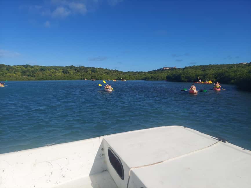 St. John's, Antigua Kayak, Snorkeling, & Beach Bird Island - Should you book the kayak and Bird Island tour?