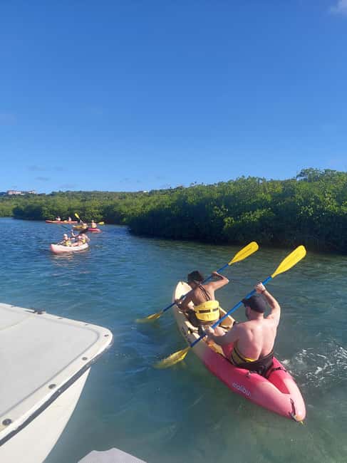 St. John's, Antigua Kayak, Snorkeling, & Beach Bird Island - Kayaking among Antigua’s red mangroves