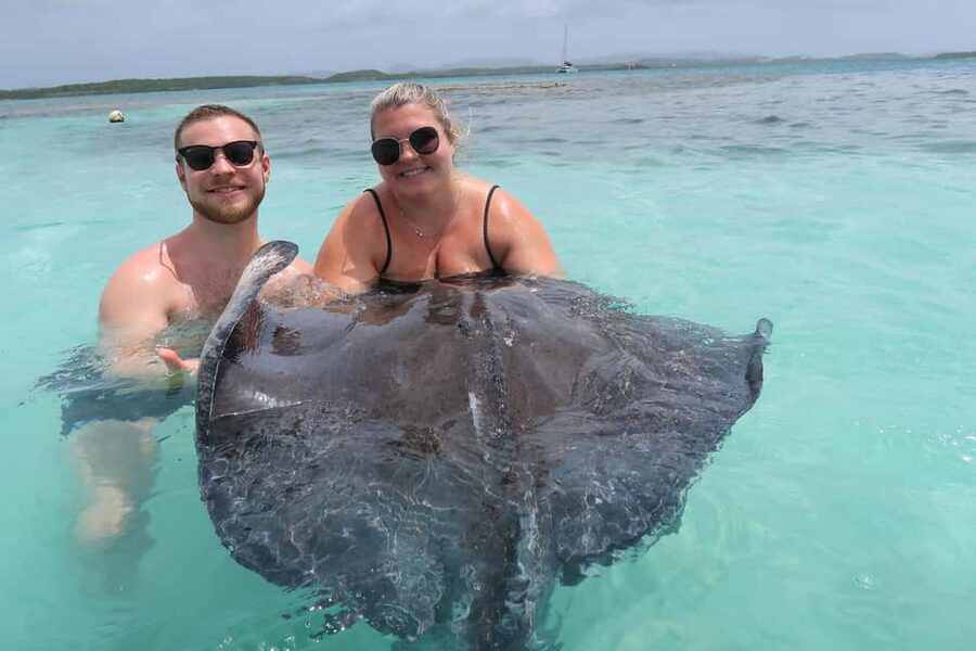 St. John's; Combo Laviscount Island & Swimming with Stingray - Key points to know before you book