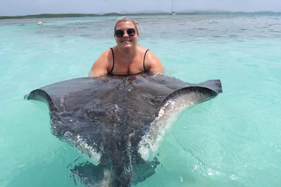 St. John's; Combo Laviscount Island & Swimming with Stingray - A half-day tour with two very different personalities