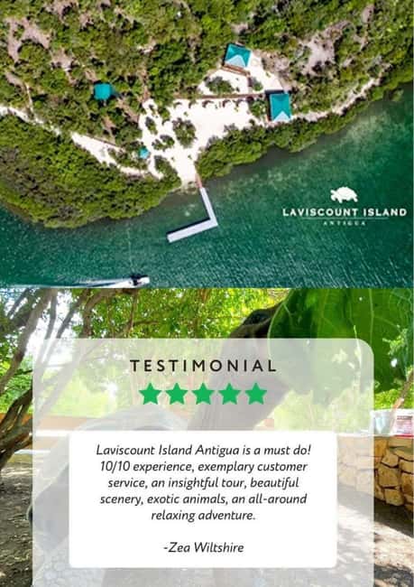 St. John's; Combo Laviscount Island & Swimming with Stingray - Cruise passengers need a precise meeting plan