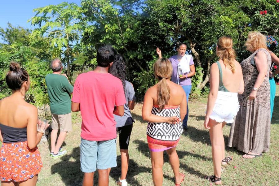 St. John's: Rum Cooking Class with 6 Rum Tastings - What the hosting adds to the meal