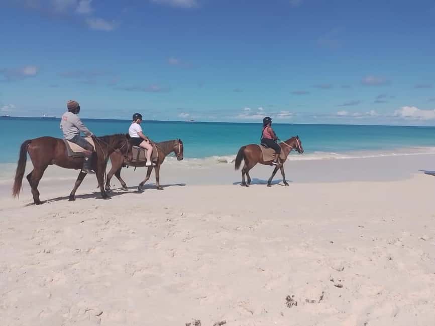 St. Johns: Horseback Riding Bareback Swim, &Fort James Beach - The 15-minute drive to Fort James