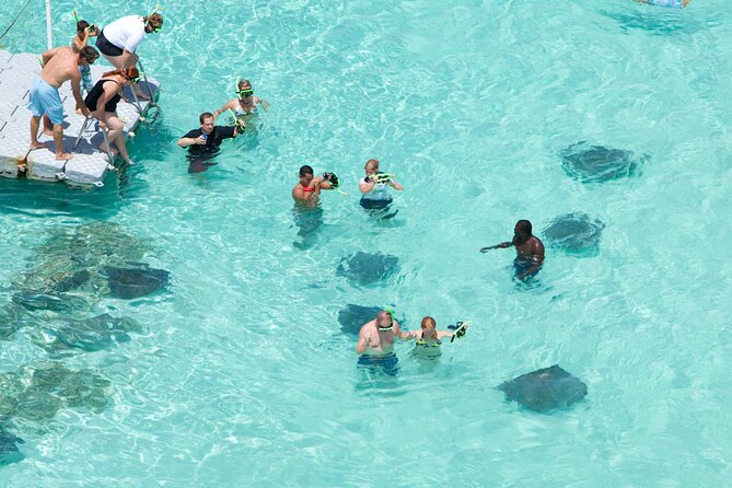Stingray City - Key Things to Know Before You Go