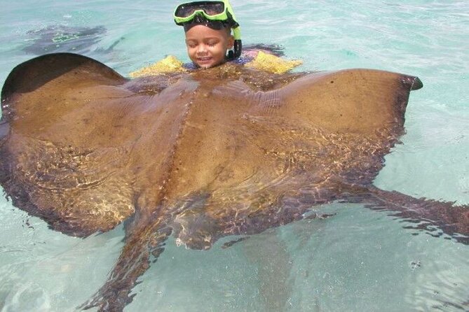 Stingray City - Meeting the Stingrays in White-Sand Water