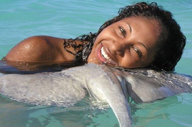 Stingray City - Tropical Fish, Starfish, and Coral Around the Sandbank