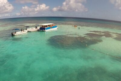 Stingray City