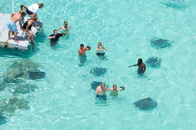 Stingray City - How Long Does the Experience Really Take?