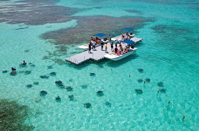 Stingray City - Staff, Safety, and the Feel of the Visit