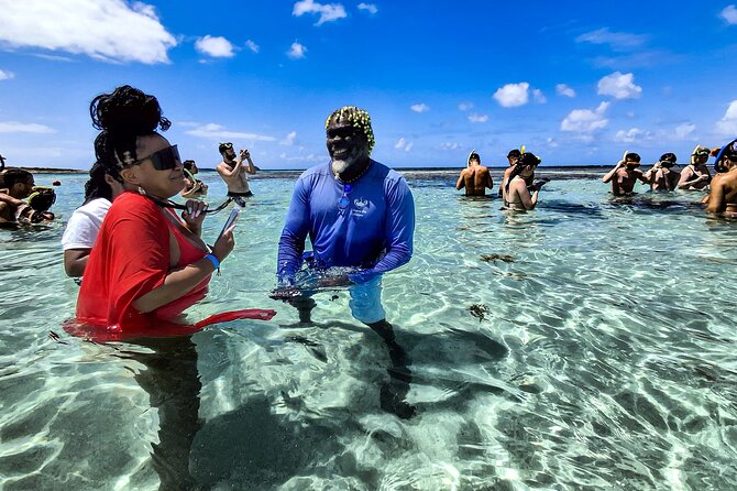Stingray City Antigua for all the ages - ROUND TRIP INCLUDED - Meeting the stingrays in waist-deep water