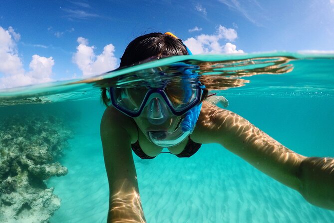 Stingray City Antigua for all the ages - ROUND TRIP INCLUDED - What the 90-minute stop really includes