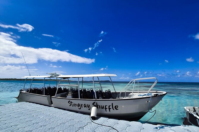 Stingray City Antigua for all the ages - ROUND TRIP INCLUDED - Photos, rum punch, and the useful extras