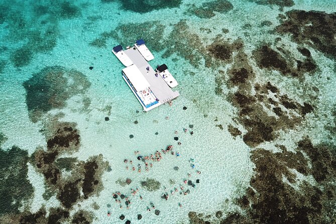 Stingray City Antigua for all the ages - ROUND TRIP INCLUDED - Is $139.90 a fair price?