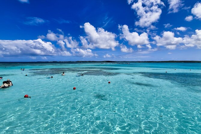 Stingray City Antigua for all the ages - ROUND TRIP INCLUDED - Seatons and the short speedboat crossing