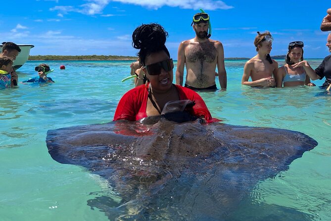 Stingray City Experience Antigua - Cruise Ship Passengers Edition - From St. John’s port to the water
