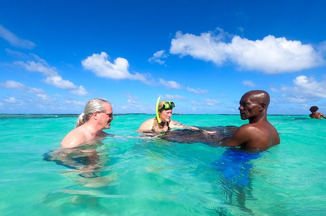 Stingray City Experience Antigua - Cruise Ship Passengers Edition - What is included for $139.90?