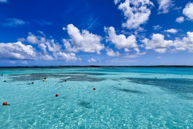 Stingray City Experience Antigua - Cruise Ship Passengers Edition - Who will enjoy this most?
