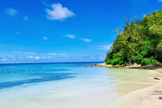 Stingray City experience, Devils Bridge and Long Bay Beach - Key things to know before booking