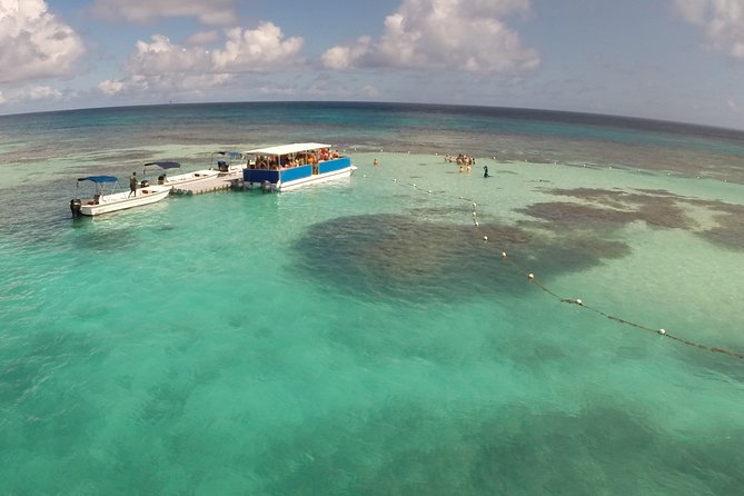 Stingray City - Feeding, Touching, and Handling the Stingrays