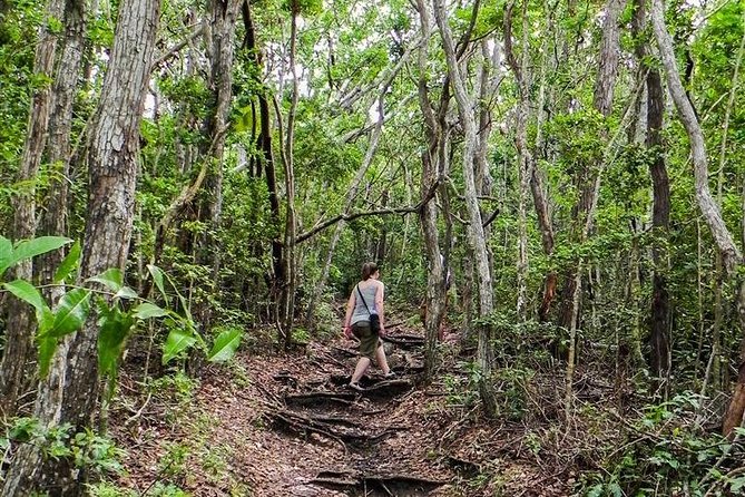 Trek Tours Hiking Experience in Antigua - Monk’s Hill and Boggy Peak