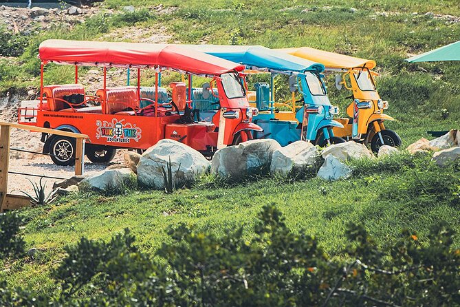 Tuk-Tuk Adventures Rainforest and Beach Hopping Tour - Who will enjoy this Antigua tour most